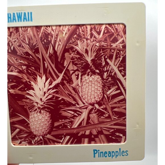 Vintage Pineapple & Sugar Cane Industries GAF Pana-Vue Travel Slides Hawaii - Picture 2 of 11